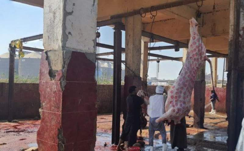 مجزر القرين