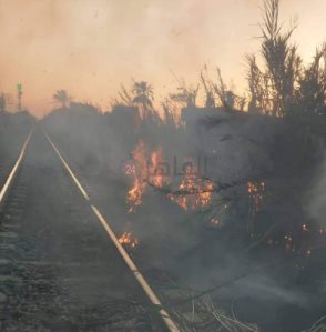 جانب من الواقعة 