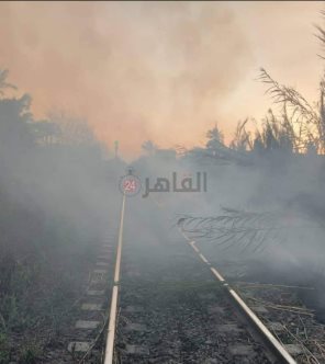 جانب من الواقعة 