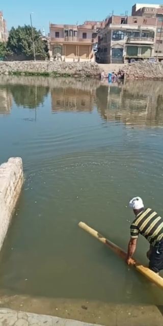 إطلاق 2 مليون زريعة أسماك في بحر مويس بالشرقية 04