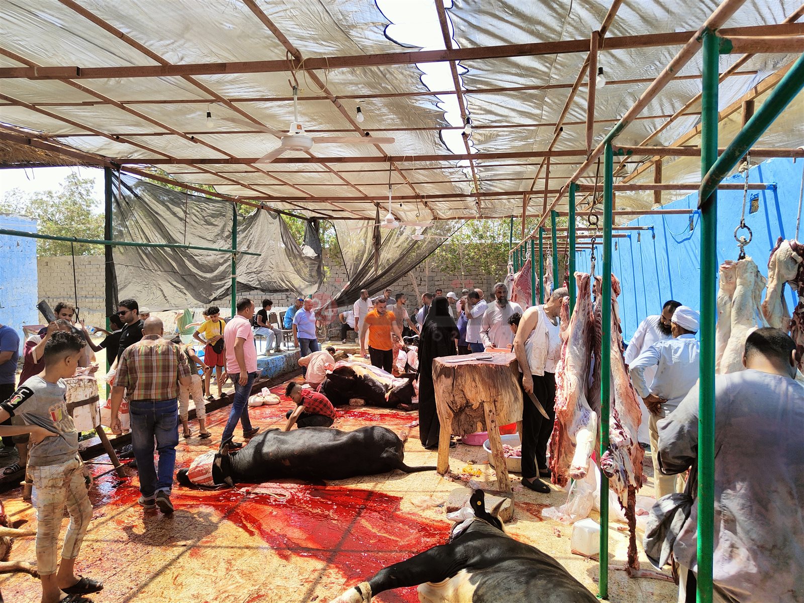 IMG20220709094903_01