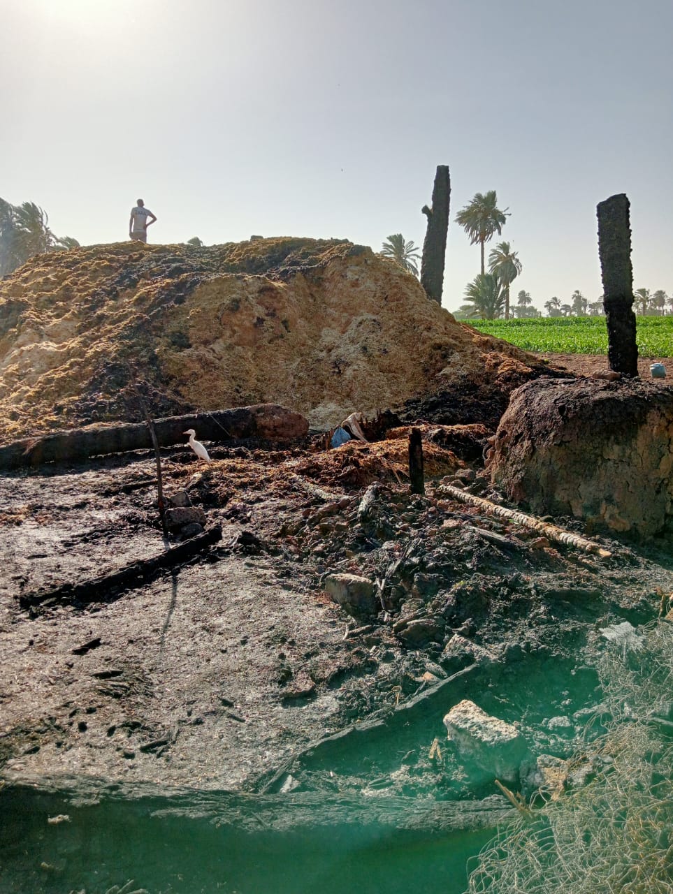 اندلاع حريق في عدد من المنازل بديروط