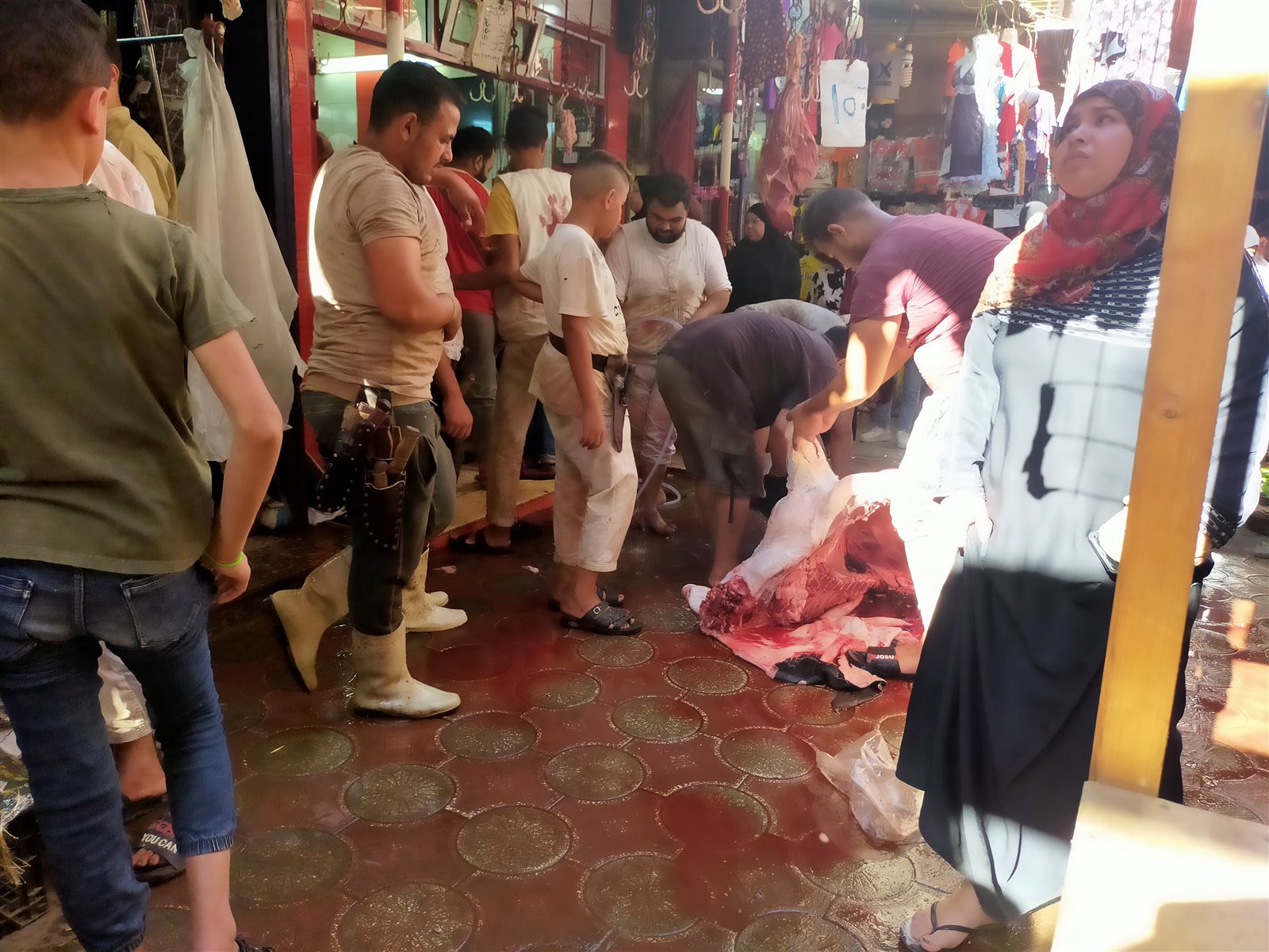 مظاهر احتفال أهالي الفيوم بـ عيد الأضحى