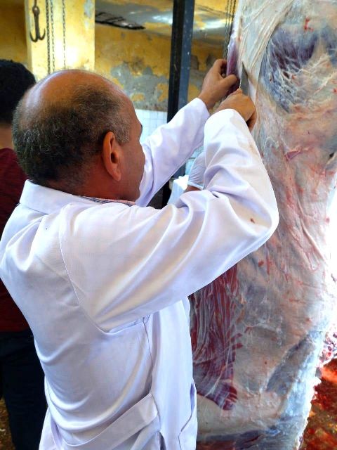 ذبح وتقطيع الأضاحي بالمجان في المجازر الحكومية بالشرقية