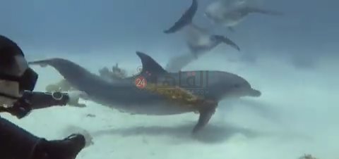 IMG_٢٠٢٢٠٧١٧_٠٦٥٥٢٤