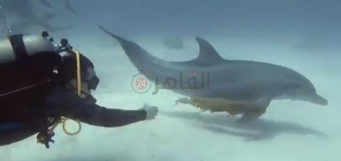 IMG_٢٠٢٢٠٧١٧_٠٦٥٥٠٣