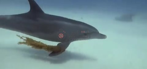 IMG_٢٠٢٢٠٧١٧_٠٦٥٤٤٥