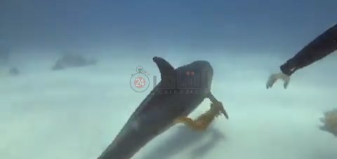 IMG_٢٠٢٢٠٧١٧_٠٦٥٤١٣