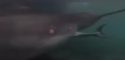 IMG_٢٠٢٢٠٧٢٠_٠٩٢٧٣٨٢١