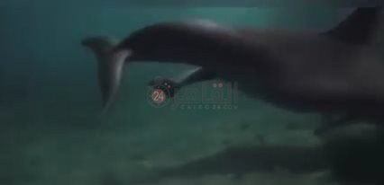 IMG_٢٠٢٢٠٧٢٠_٠٩٢٧٢٥٢٤