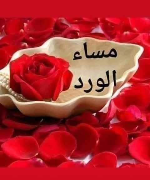 عبارات مساء الخير 
