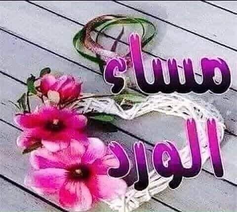 عبارات مساء الخير 
