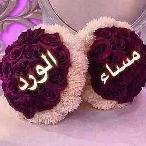 أحلى مساء الخير