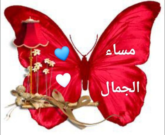 أحلى مساء الخير