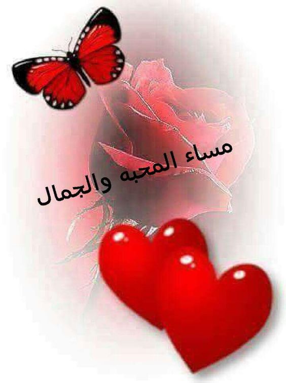 أحلى مساء الخير