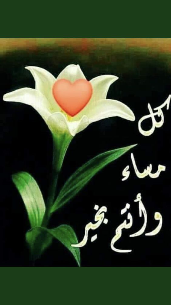 مساء الخير مكتوبة بخط جميل