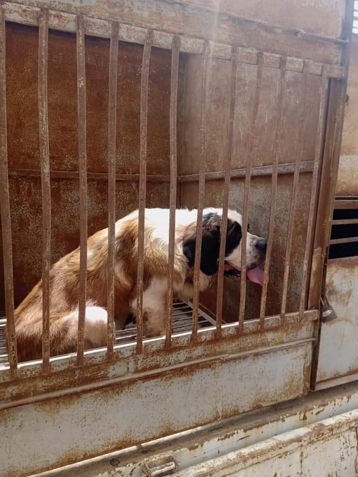 FB_IMG_1658349232499