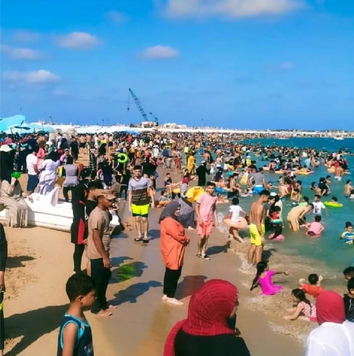 FB_IMG_1658487914194