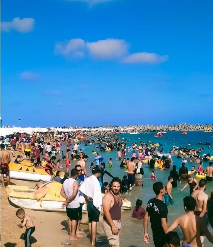 FB_IMG_1658487879927