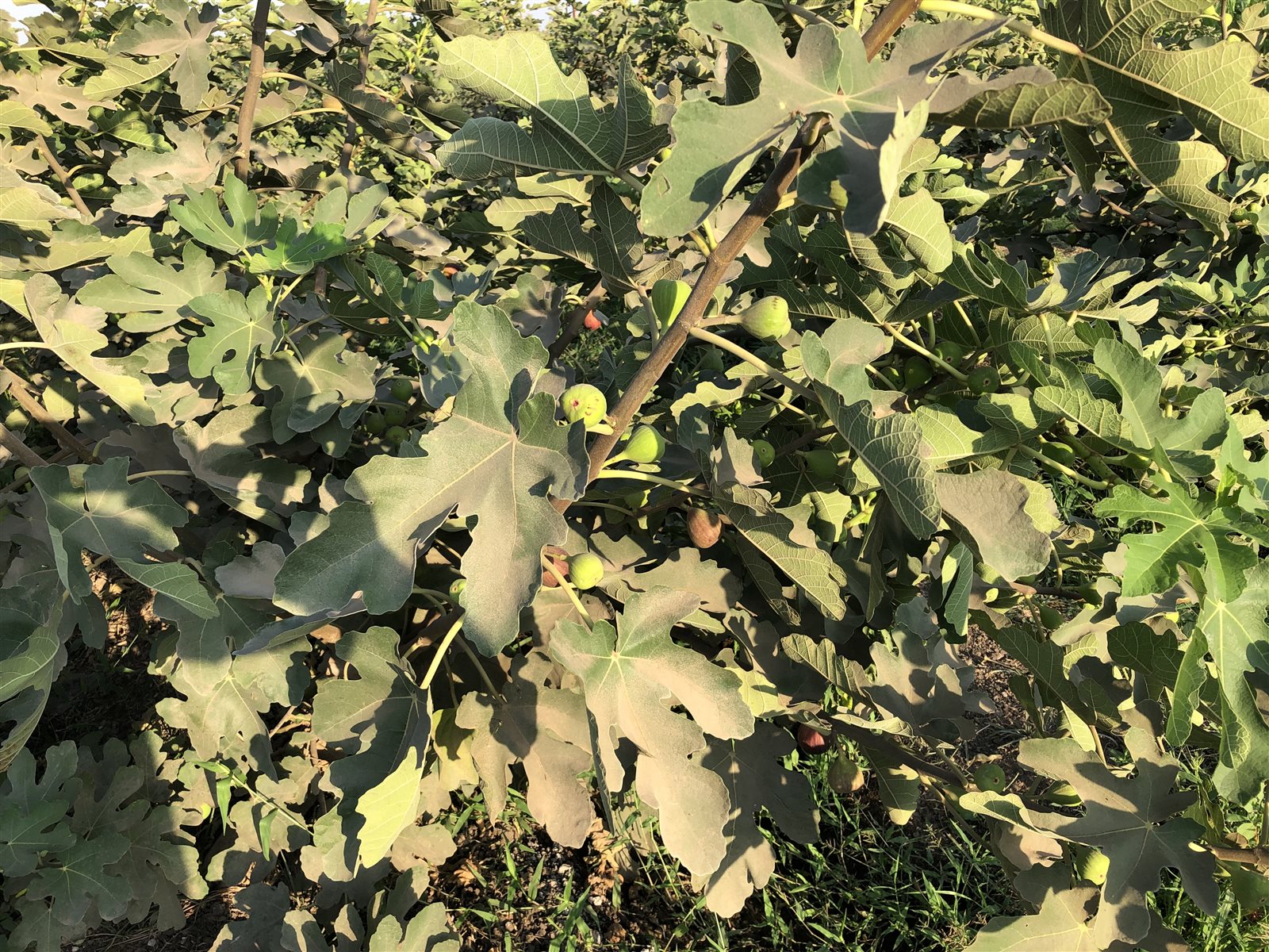 4EB9D250-470A-4BA9-8FDD-D6C5FB3B459C