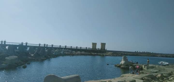 FB_IMG_1659454330226