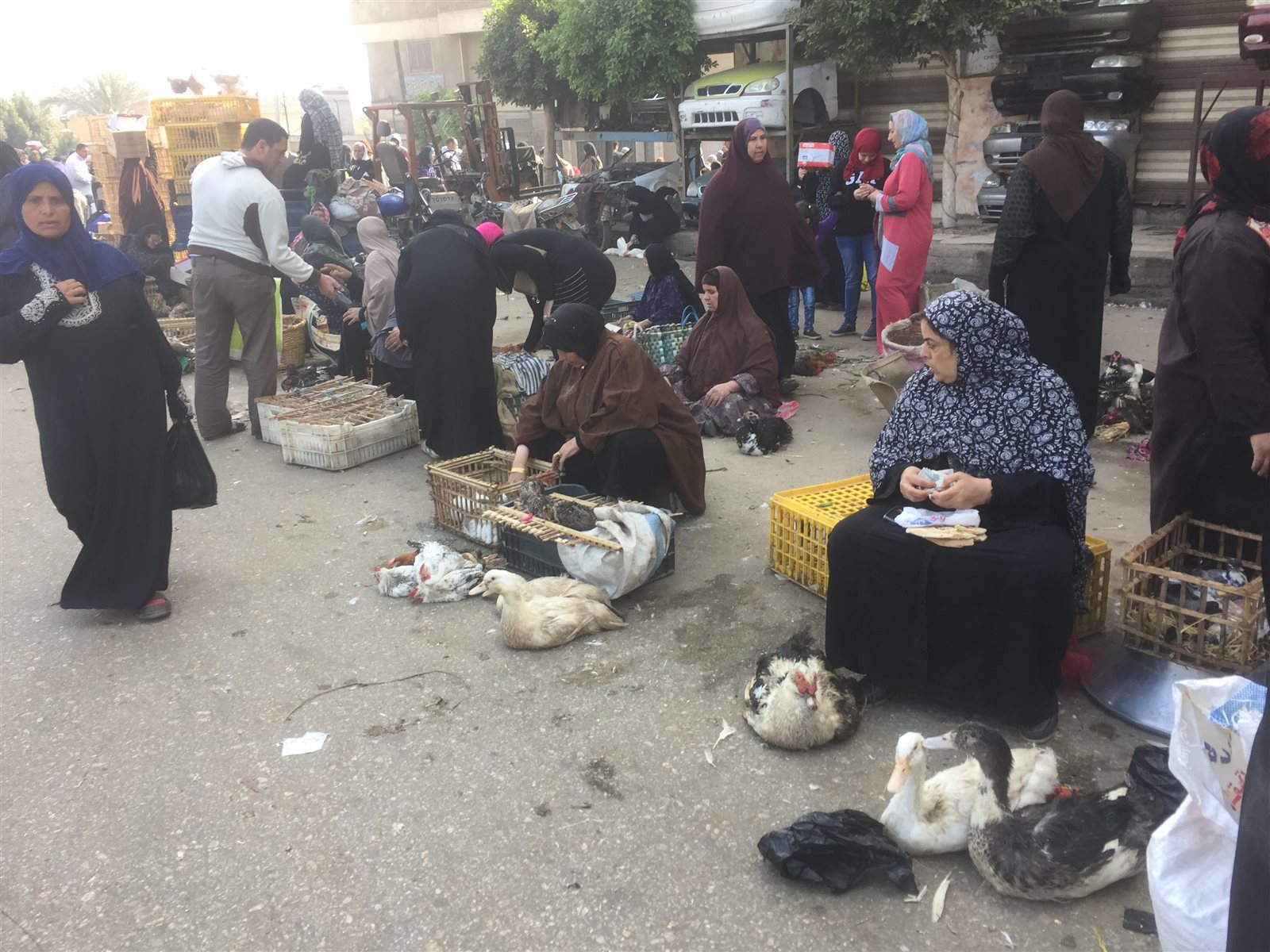 F6DEB3BD-0E7F-4D52-AE7A-E2603DEC10F4