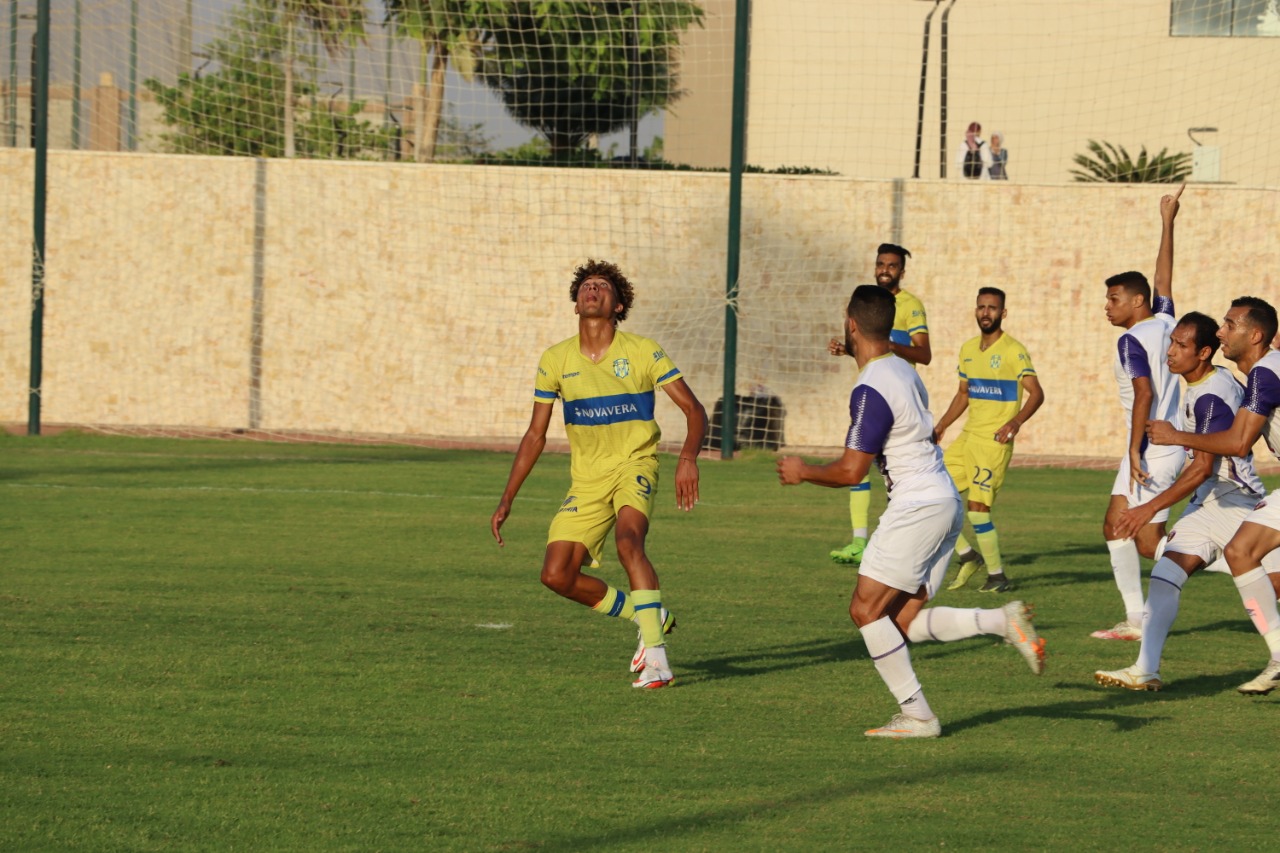 لافيينا والمصرية للاتصالات (1)