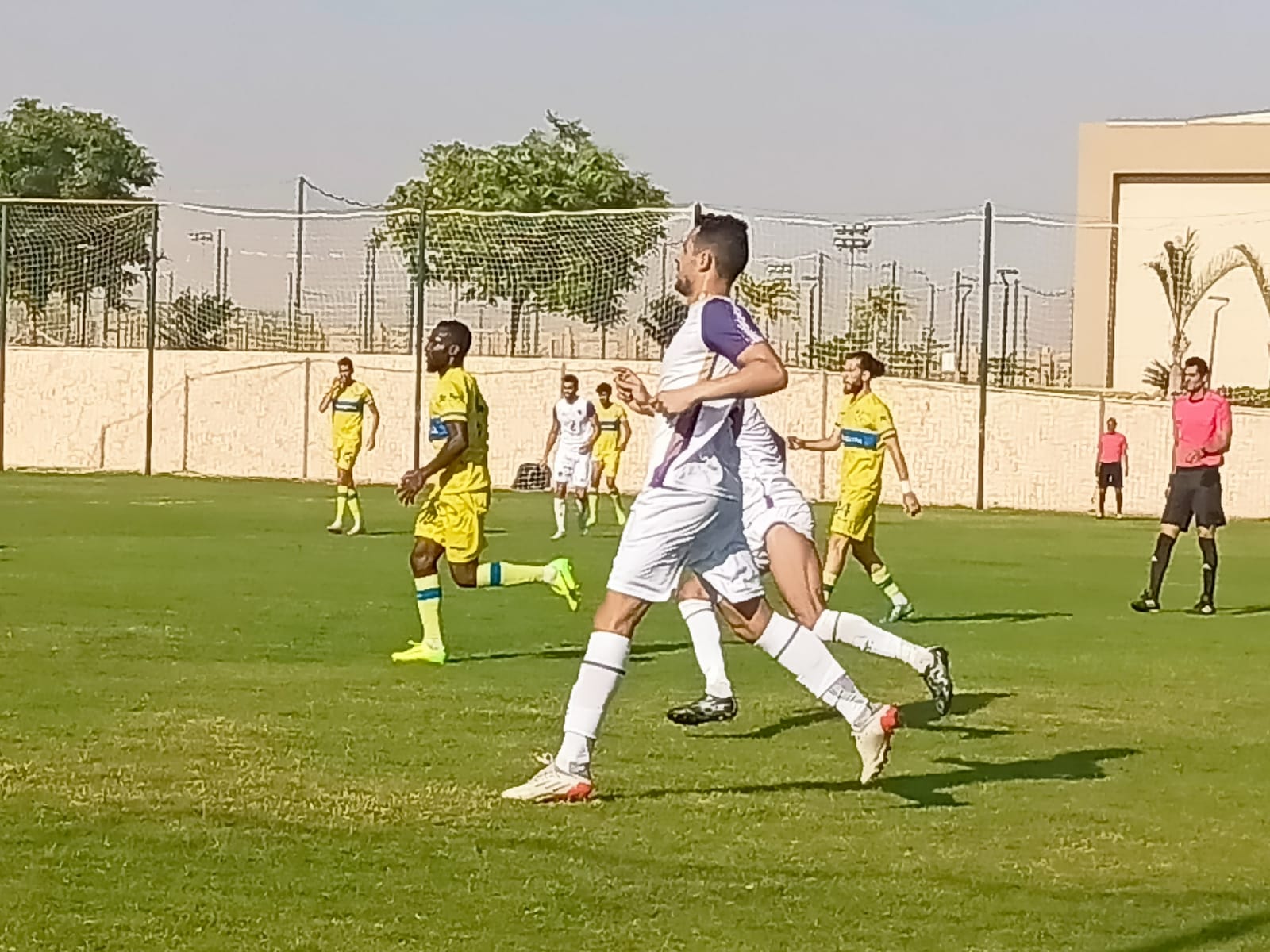 لافيينا والمصرية للاتصالات (3)