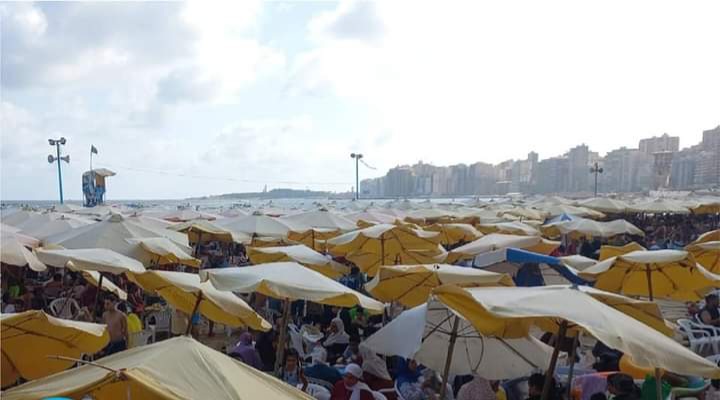 FB_IMG_1660919121384