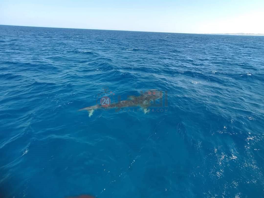 FB_IMG_1661003362755