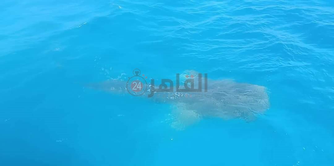 FB_IMG_1661003359612