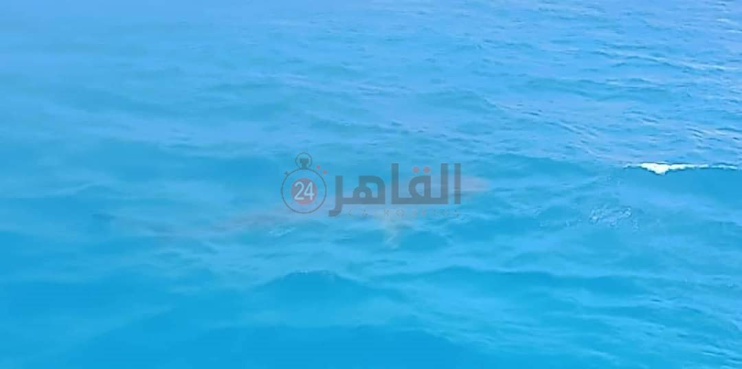 FB_IMG_1661003356028