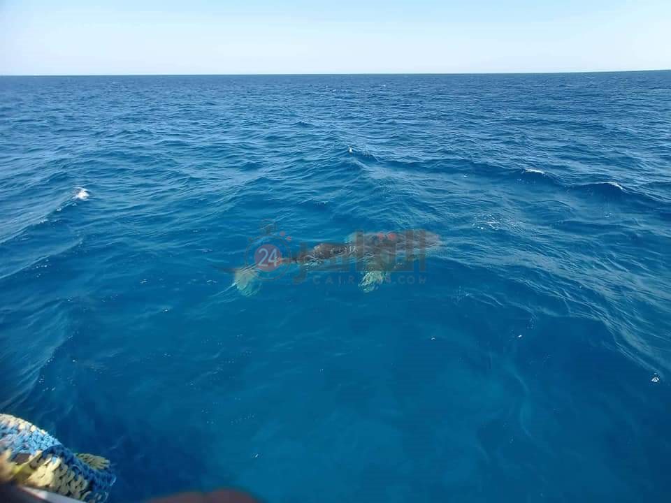 FB_IMG_1661003353969