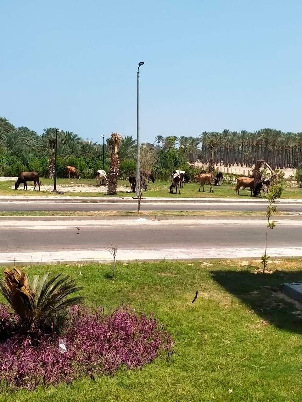 FB_IMG_1661362061217