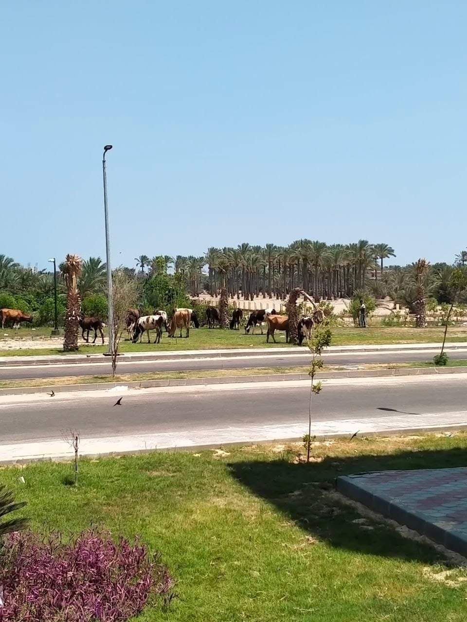 FB_IMG_1661357058893