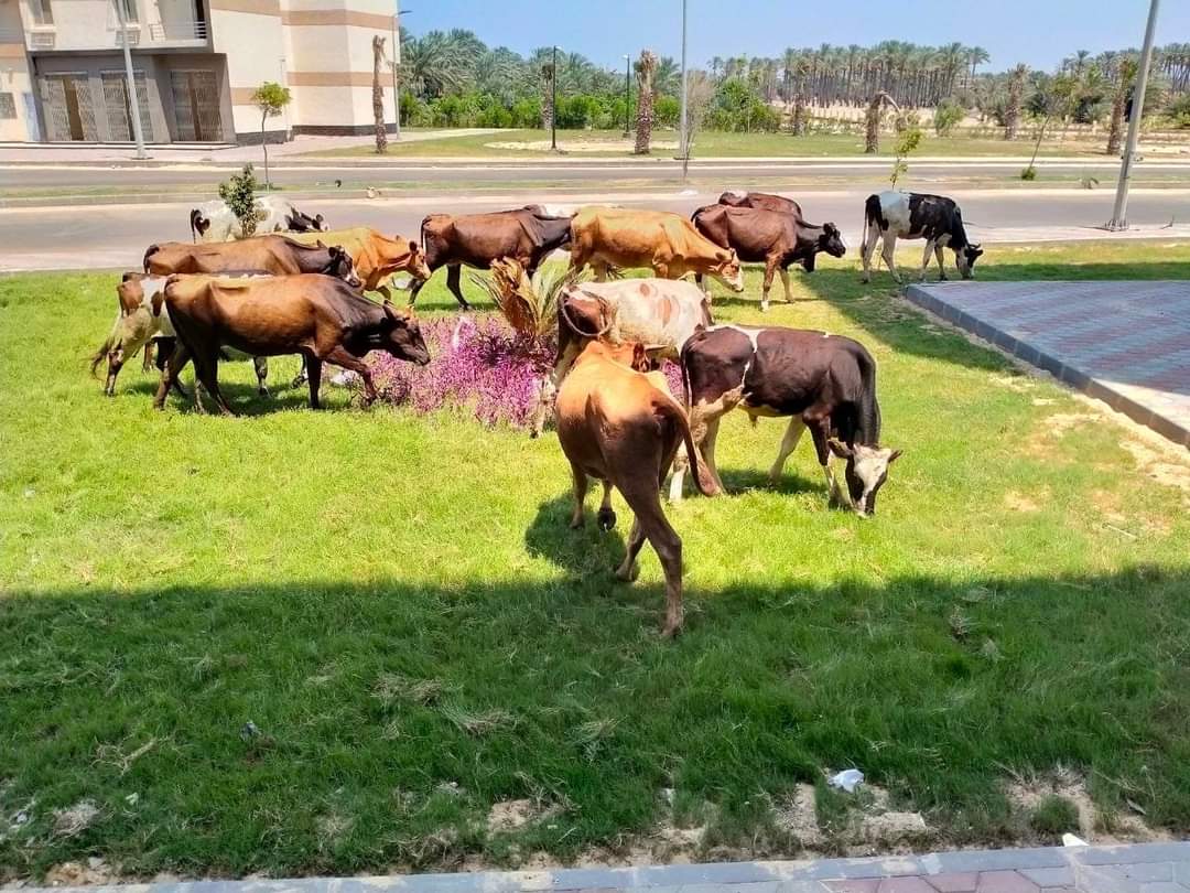 FB_IMG_1661357055423