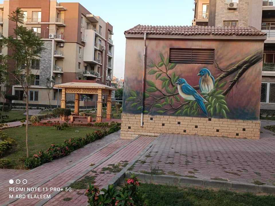 رسوم فنية 11