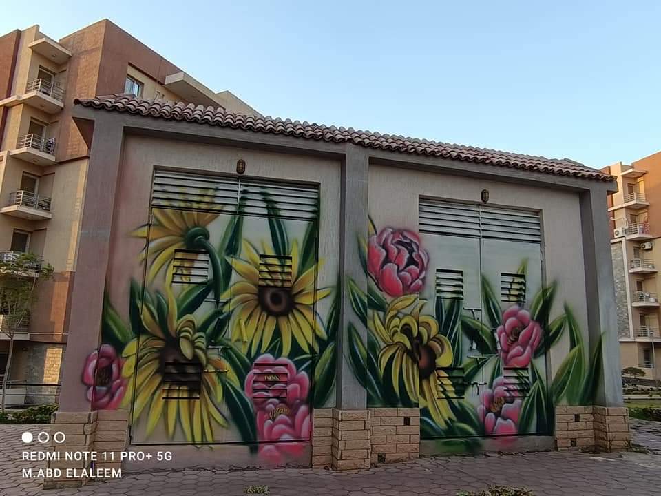 رسوم فنية 12