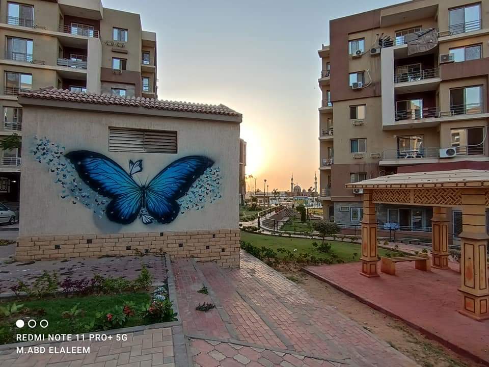 رسوم فنية 13