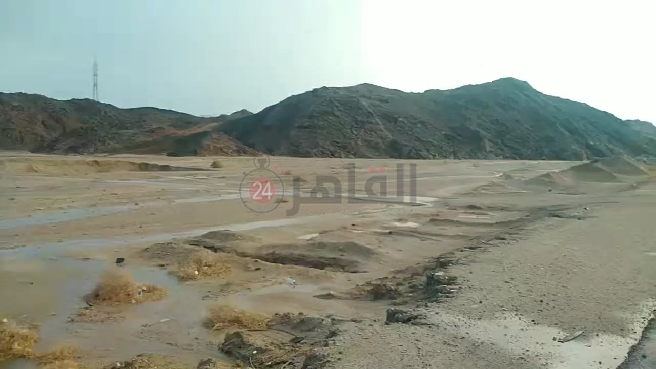 IMG_٢٠٢٢٠٨٣١_١٧١٠٢٢٩٥