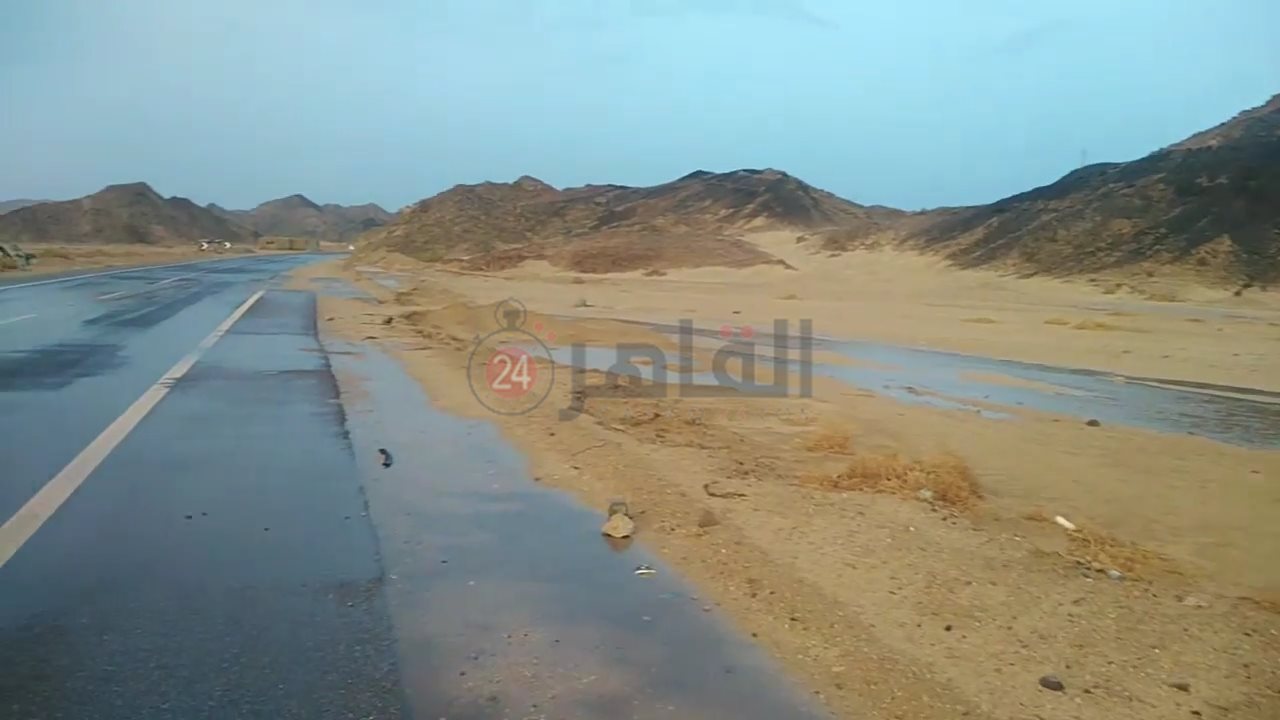 IMG_٢٠٢٢٠٨٣١_١٧١٠٠٨١٨