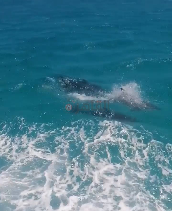 IMG_٢٠٢٢٠٩٠٥_١١٥١٣٩