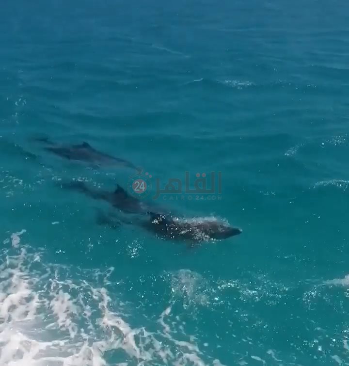 IMG_٢٠٢٢٠٩٠٥_١١٥١٣١