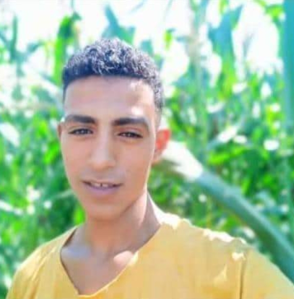 إبراهيم همام السيد همام