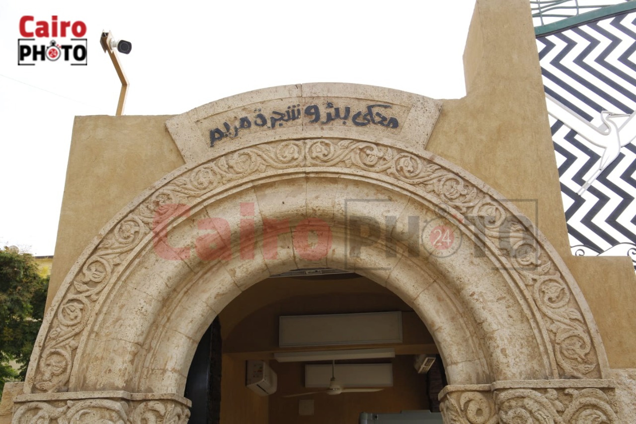 أعمال تطوير شجرة مريم بالمطرية