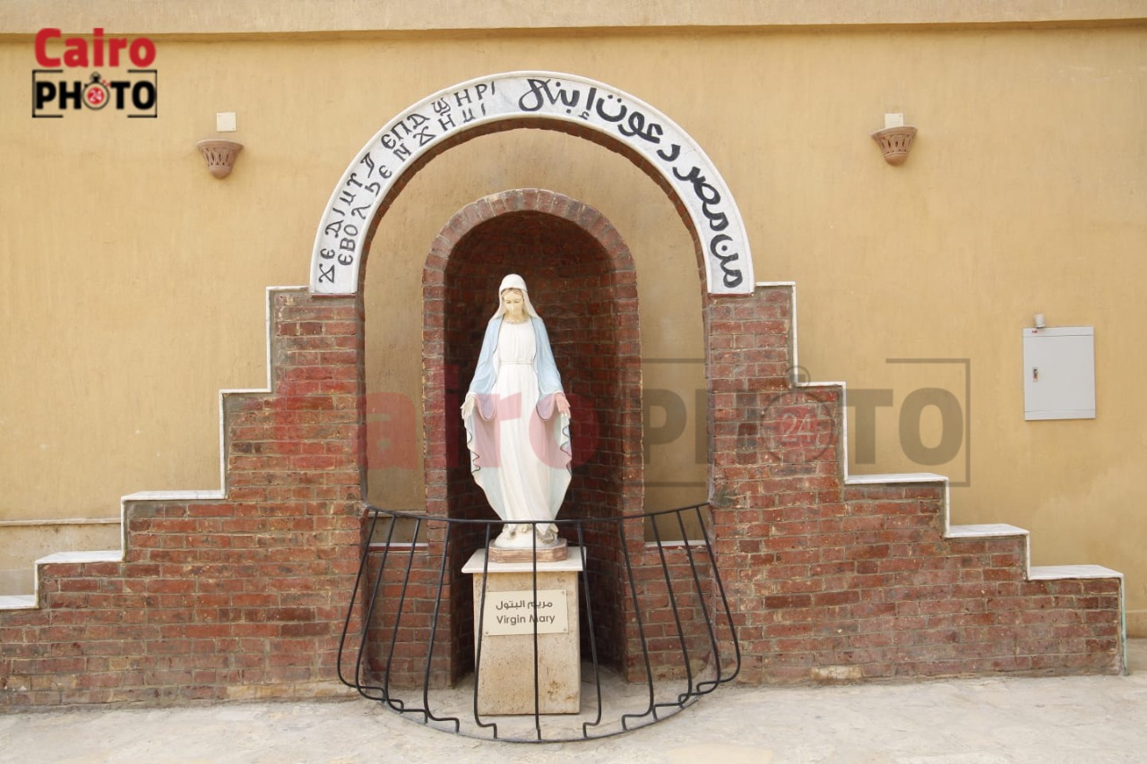 أعمال تطوير شجرة مريم بالمطرية