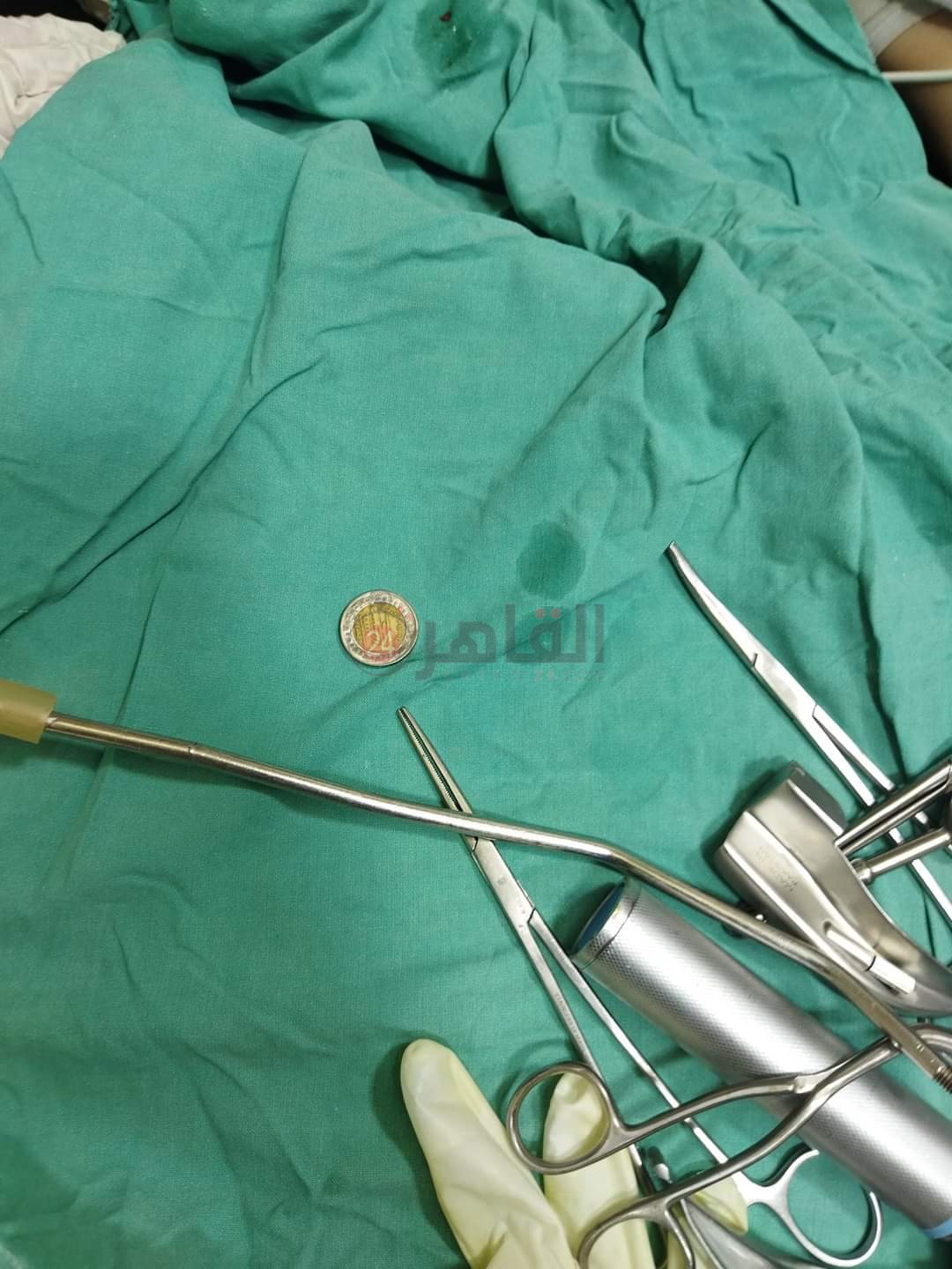 FB_IMG_1664090249857