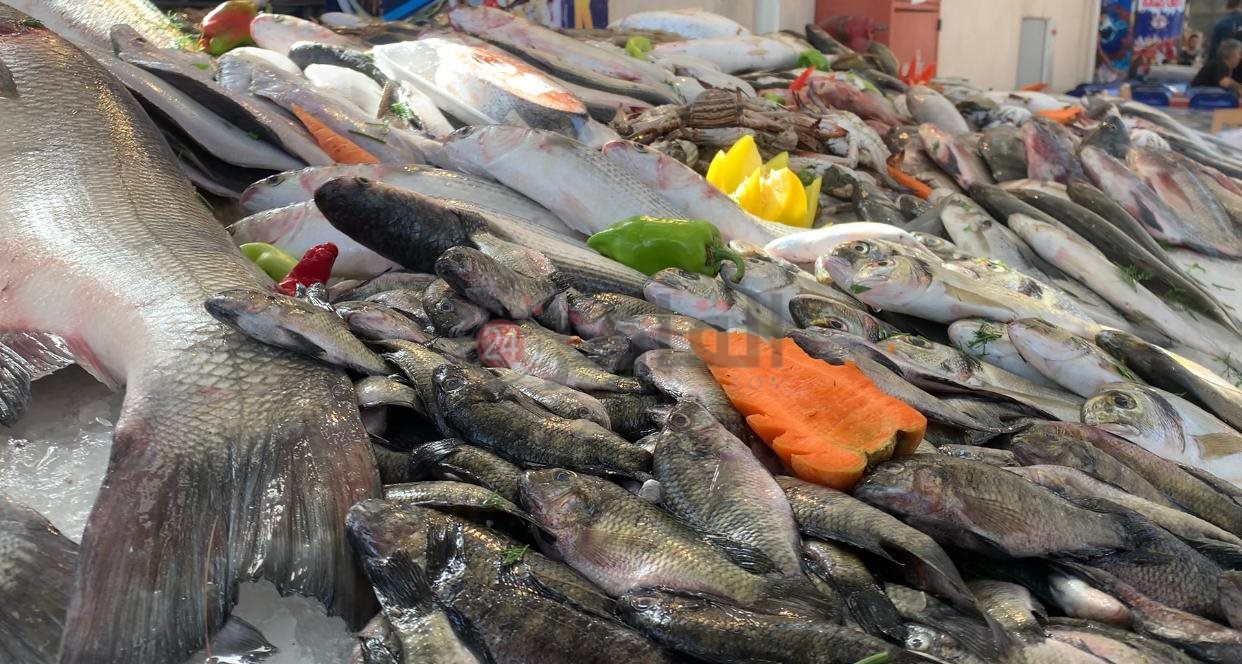 تنوع الأسماك بالسوق ببورسعيد 