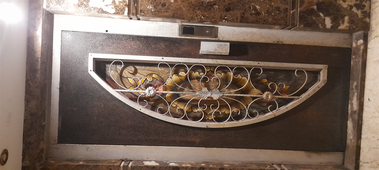 ٢٠٢٢٠٩٢٥_٢٢٥١٣٦