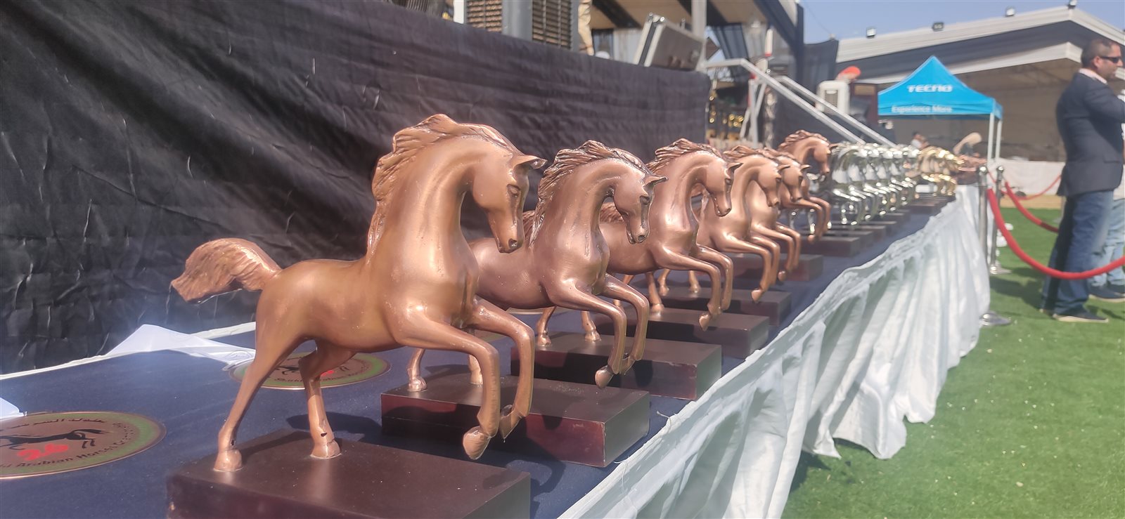 جوائز المهرجان 03